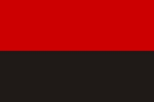 Flaga UPA - barwy "Banderowców"