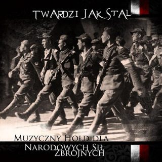 Twardzi jak stal - muzyczny hołd dla Narodowych Sił Zbrojnych